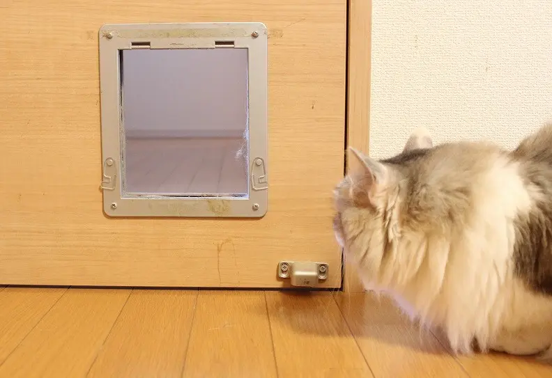 キャットドア作成 mqdefault.jpg
